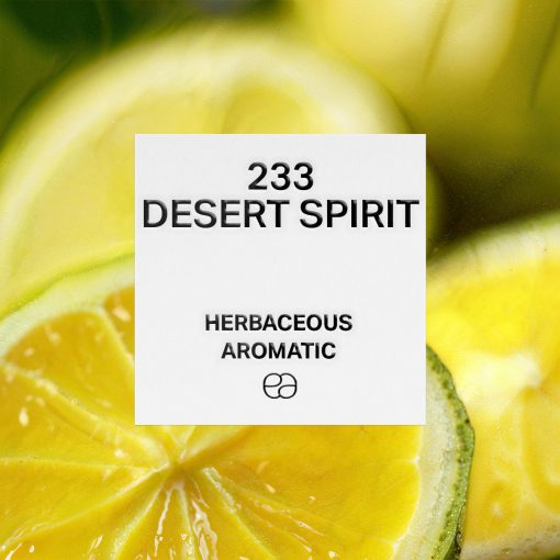 233 Desert Spirit