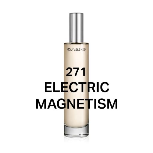 271 Electric Magnetism - Imagen 2