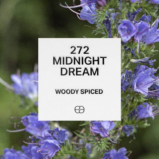 272 Midnight Dream