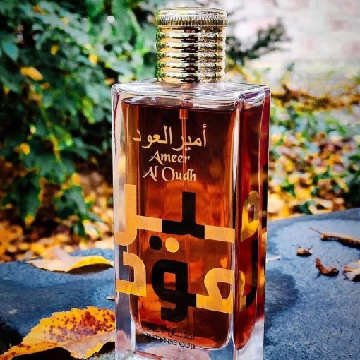 AMEER AL OUDH INTENSE OUD Lattafa perfume HOMBRE 100ml - Image 4