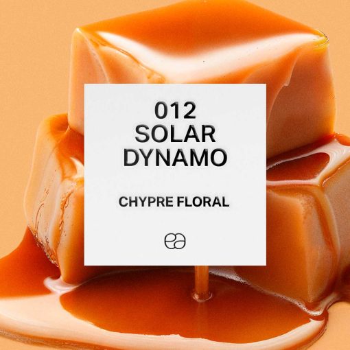 012 Solar Dynamo